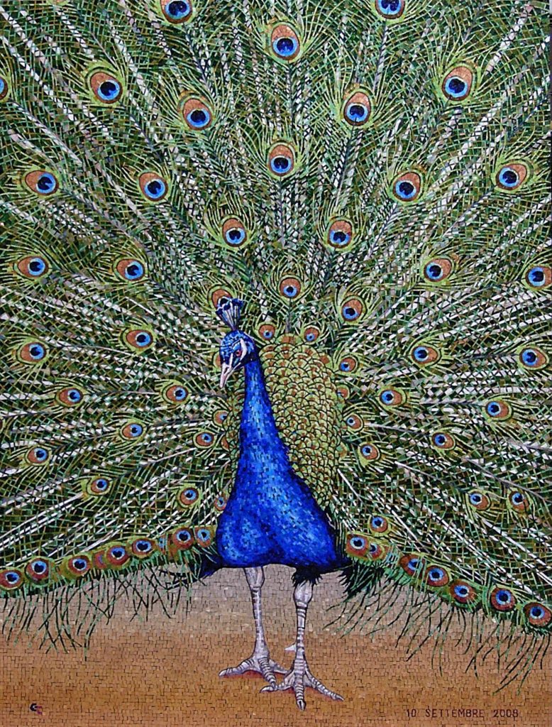 travisanutto mosaics pavone