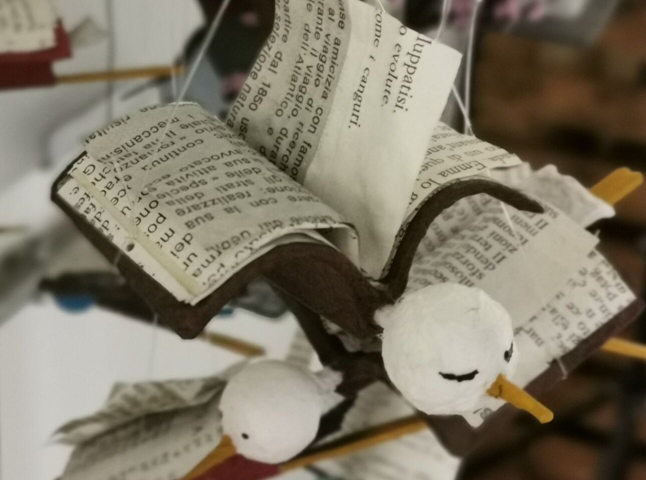 l'Albero del Bradipo